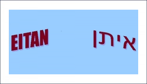 EITAN logo